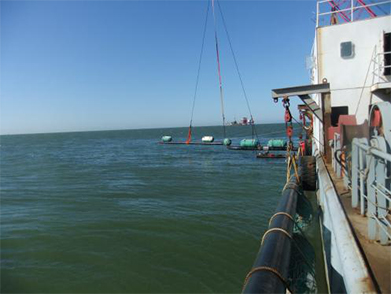 膨脹彎安裝 膨脹彎安裝