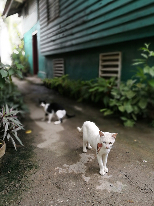 中文字幕精品人妻熟女海工最美施工攝影作品展(一) 中文字幕精品人妻熟女海工最美施(shī)工攝影作品展(一)