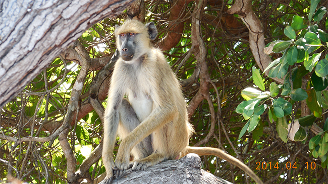 中文字幕精品人妻熟女海工最美施工攝影(yǐng)作品展(二) 中文字幕精品人妻熟女海工最美施工攝影作品展(二)