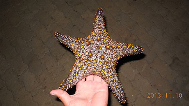 中文字幕精品人妻熟女(yì)海工最美(měi)施工攝影作品展(二) 中文字幕精品人妻熟女海工最美施工攝影作品展(二(èr))